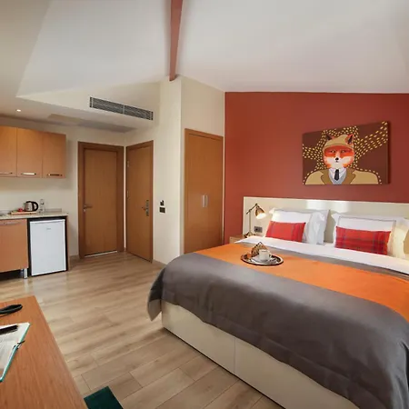 The Fox Hotel Istambul
