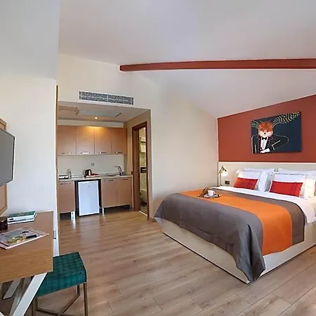 The Fox Hotel 4*